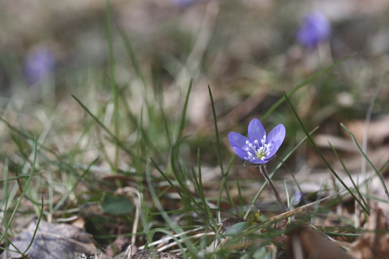 April 2017 Tid Datum April 2017 Tid Datum