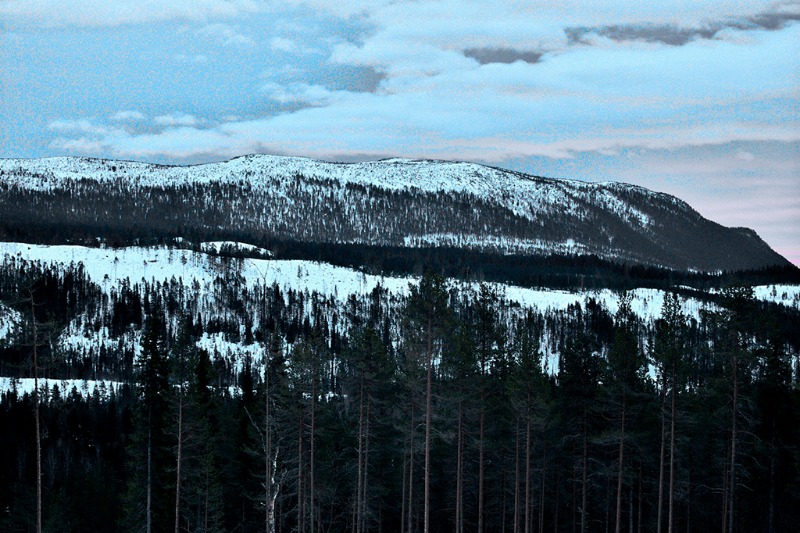 Januari © iStock