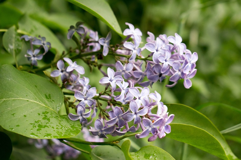 Juni 2017 Tid Datum Juni 2017 Tid Datum