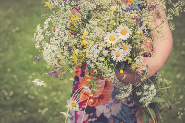 Midsommarblommor © iStock