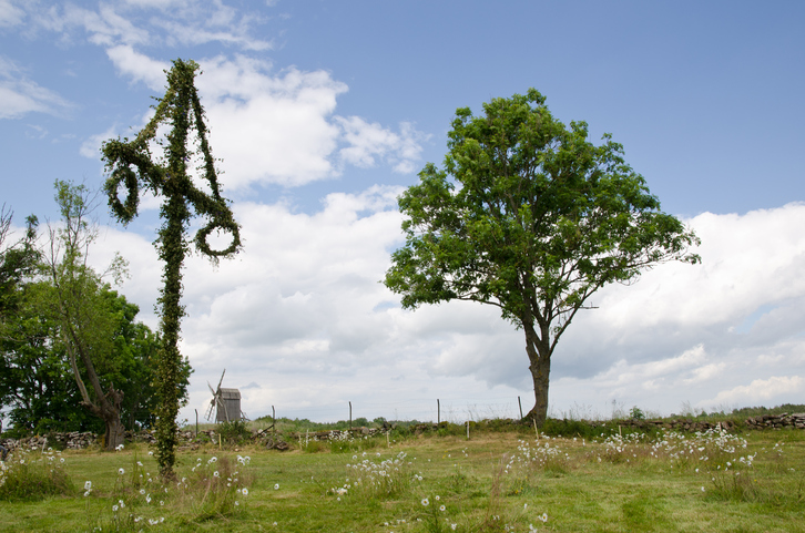 Midsommardagen © iStock